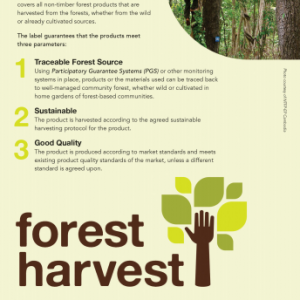 Forest Harvest Brochure