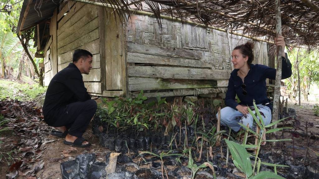 Edukasi tanaman HHBK desa Namo Oleh Direktur NTFP-EP Indonesia "Anang Setiawan" kepada Mahasiswa magang asal Australia "Emma"