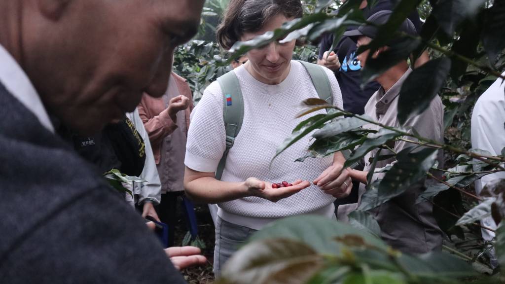 Kunjungan ke kebun kopi KPS Mulyatani Dok. NTFP-EP Indonesia (2025)